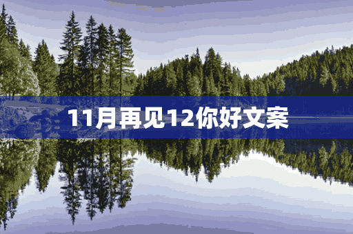 11月再见12你好文案(11月再见12月你好的文案)